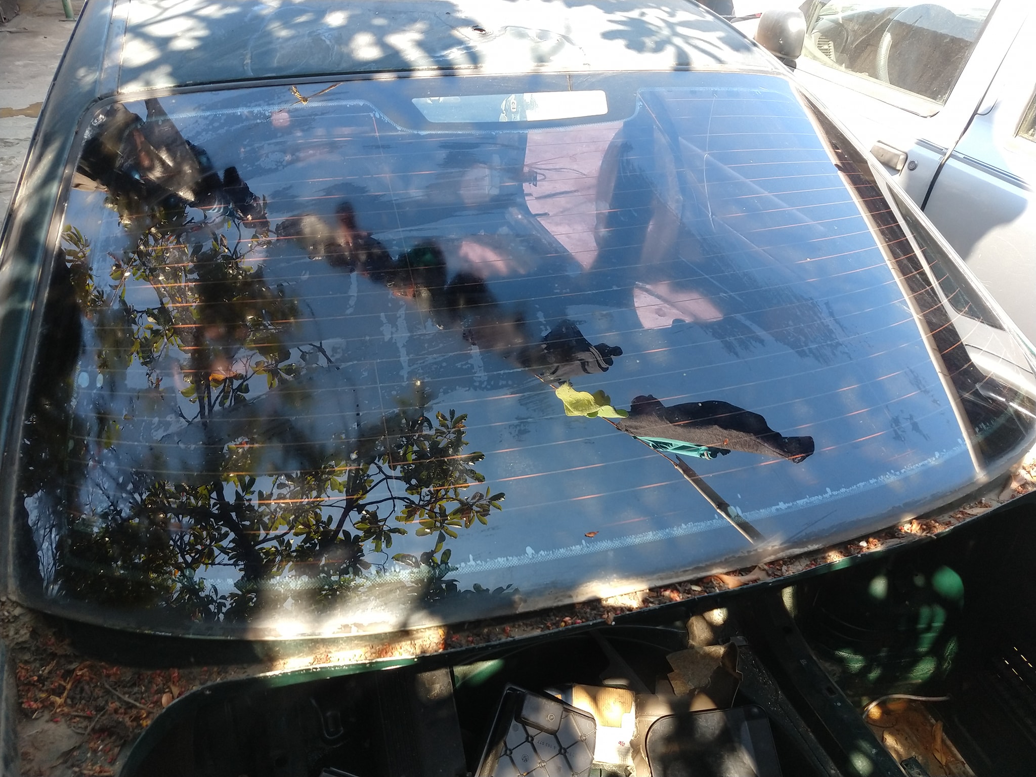 Windshield Trasero BMW e46