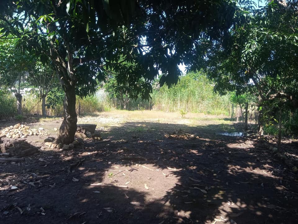 Terreno en venta