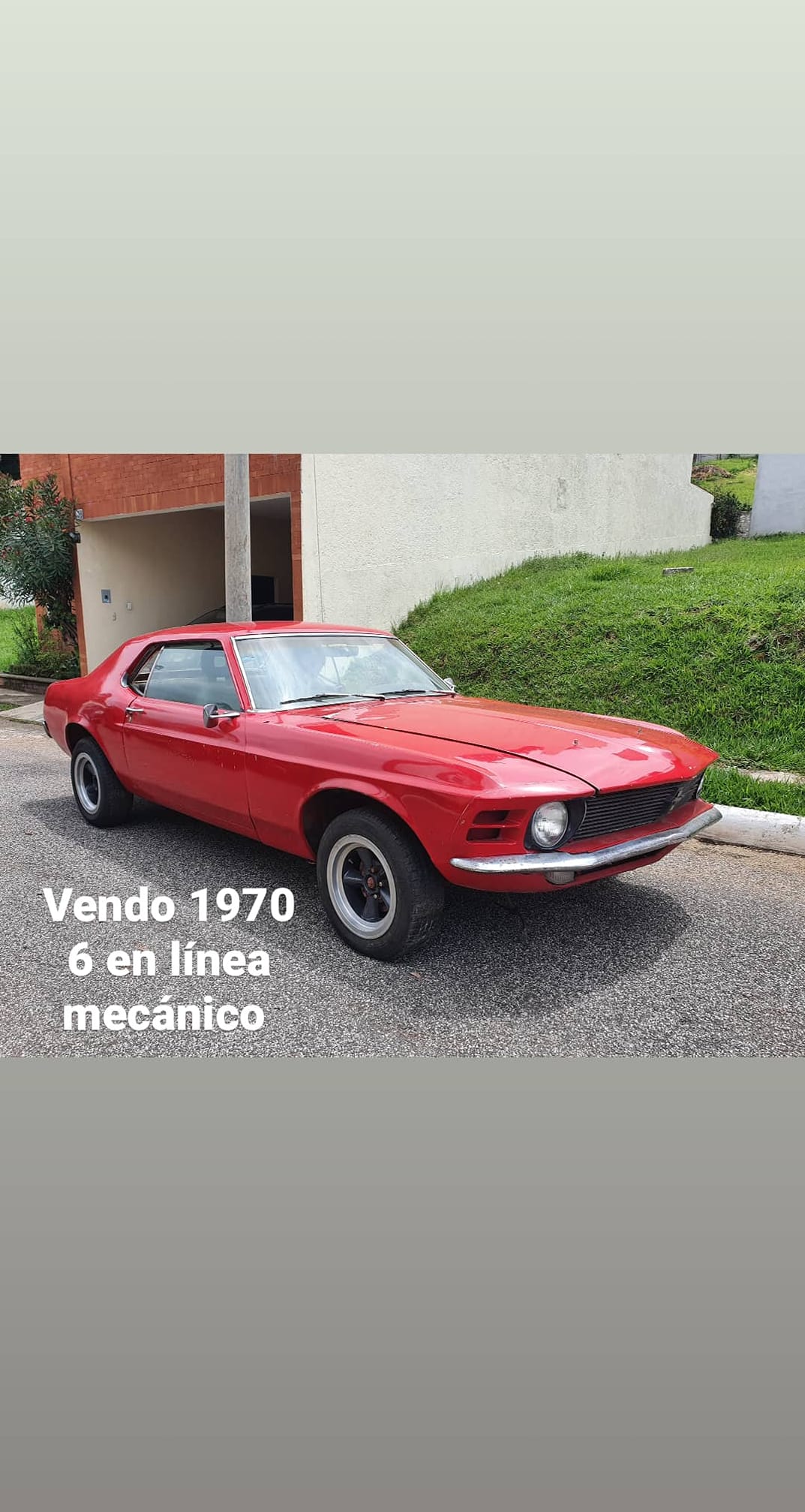 Ford mustang 1970 6 en línea mecánico papeles en orden arranca y camina
SOLO INTERESADOS NEGOCIABLE