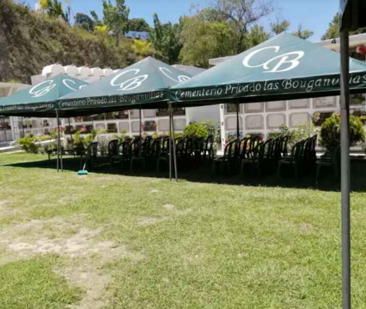 Camposanto bugambillias