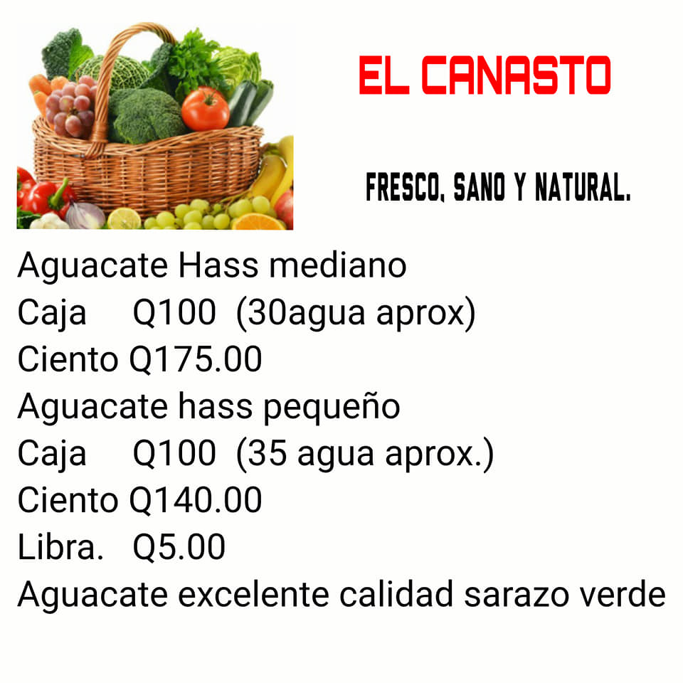 Aguacate Hass