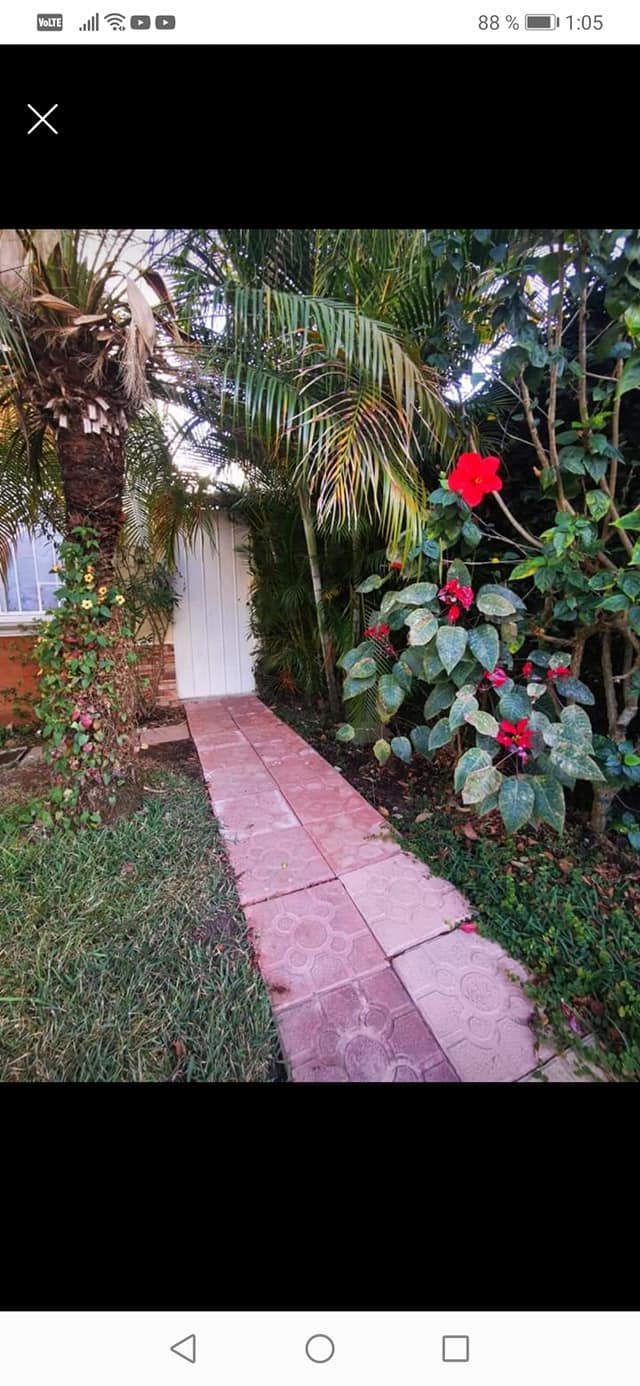 ALQUILER DE APARTAMENTO PARA UNA PERSONA EN RES. VILLAS ARCÁNGEL Z. 2
