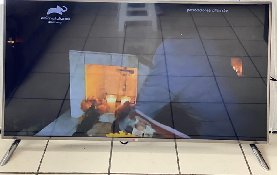 Tv LG SMART 55”