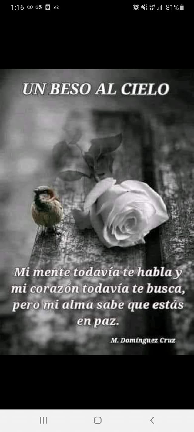 Se necesita señorota