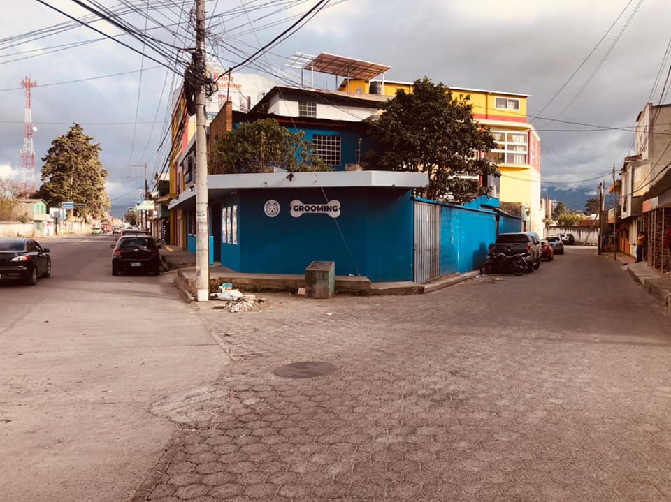 Alquilo apartamento