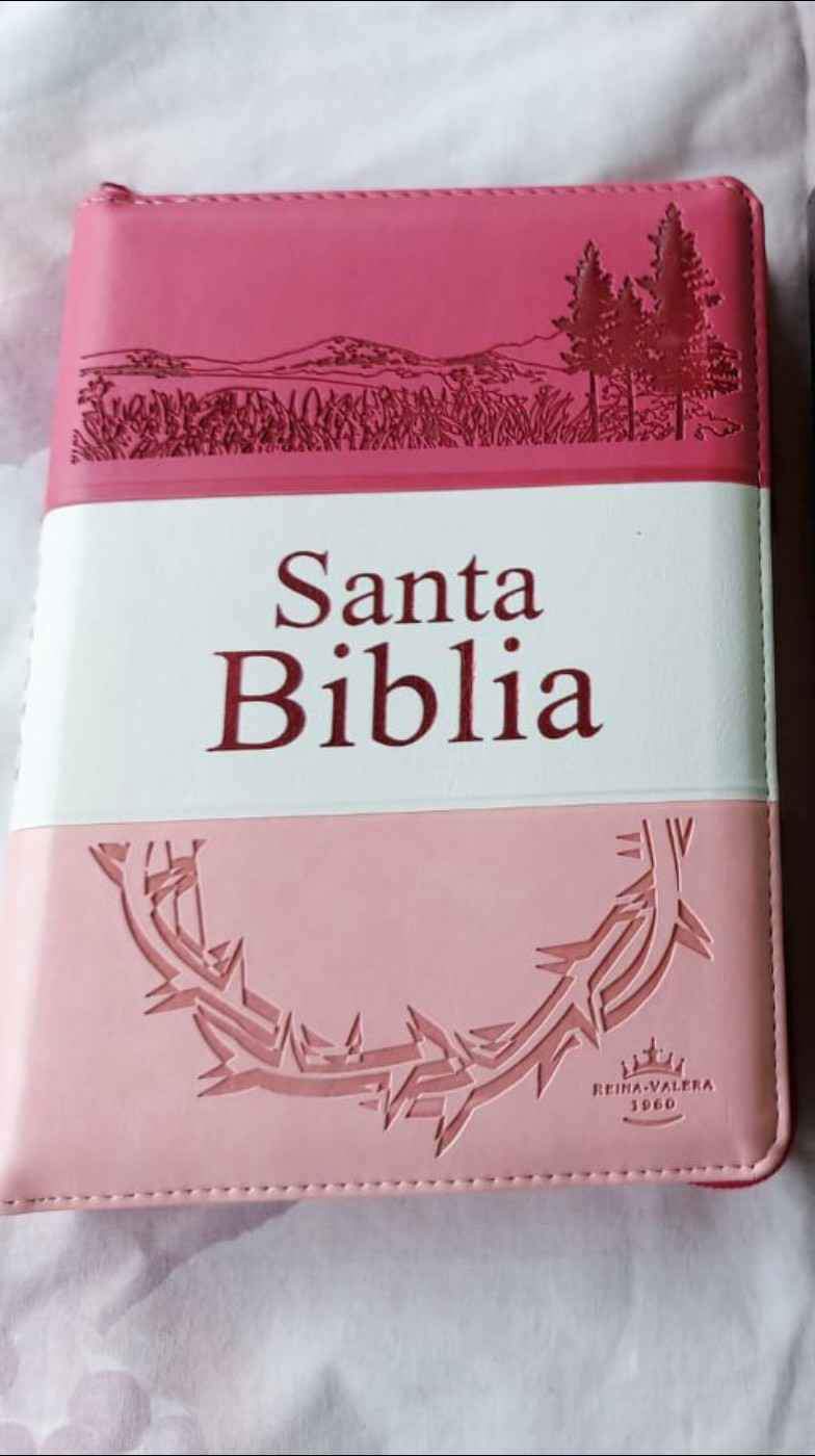 Biblia Reina Valera 1960 LETRA GRANDE  CON CIERRE