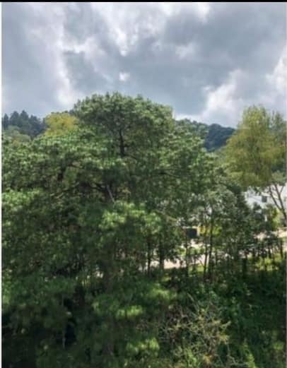 Alquiler de apartamento en zona 16