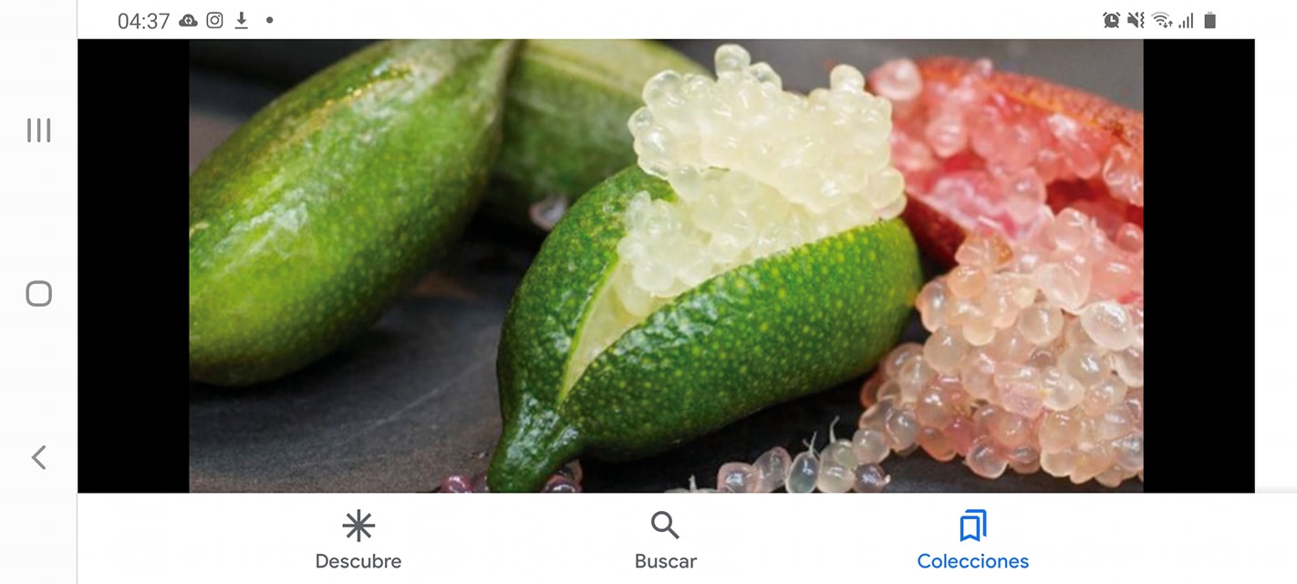 Venta de limon caviar en pilón  por mayor y menor cotize sin compromiso al 3131-5360 watsap