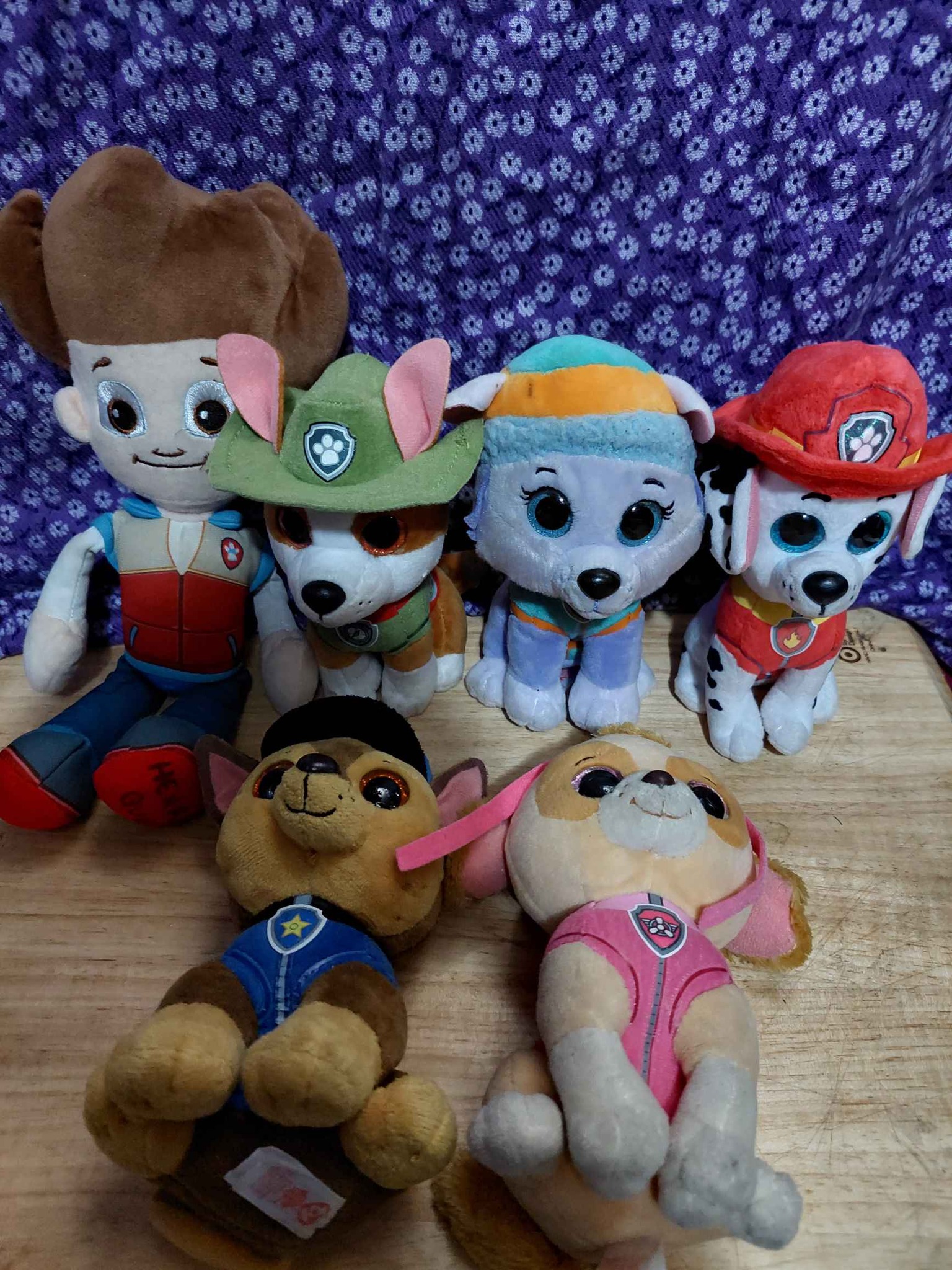 Peluchea de pauw patrol