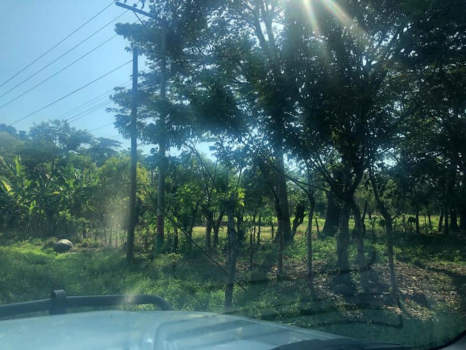 VENDO TERRENOS EN PALIN ESCUINTLA