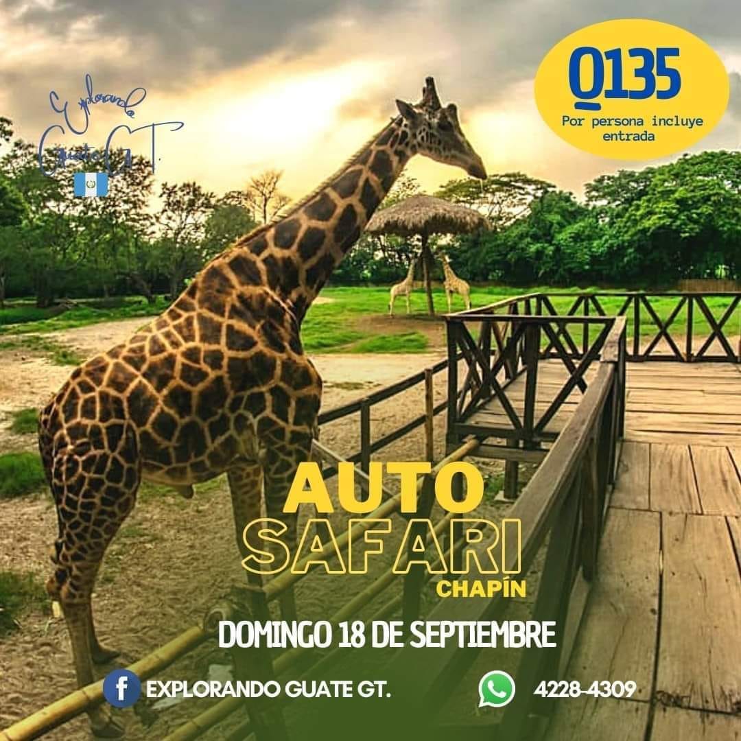 AUTO SAFARI CHAPÍN