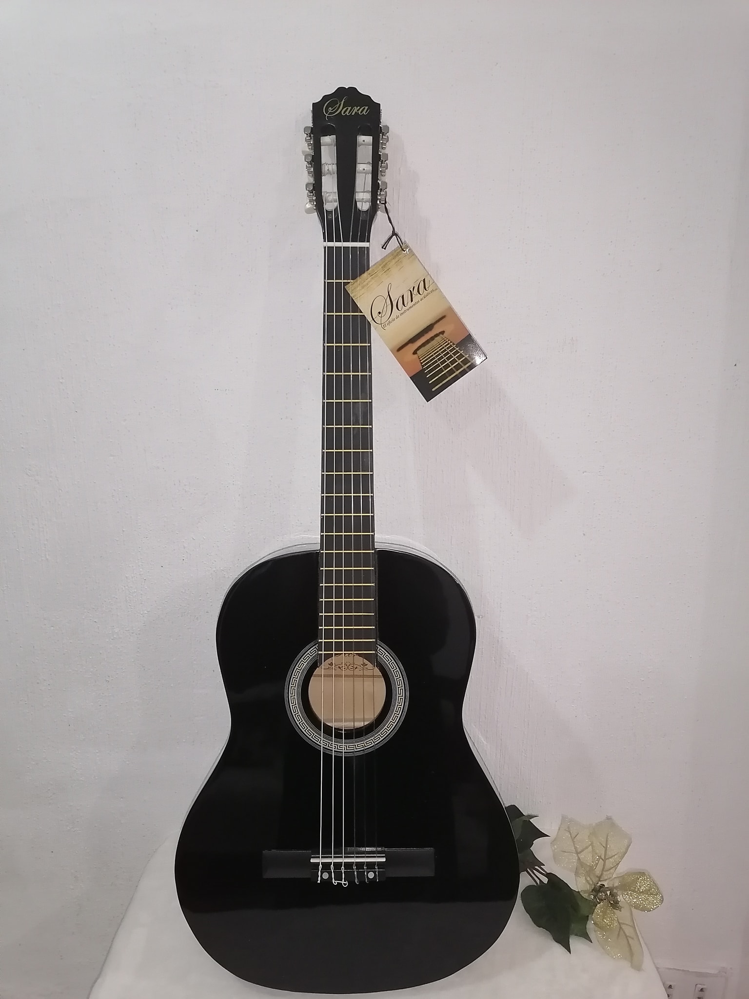 Oferta Guitarra Acústica + Estuche