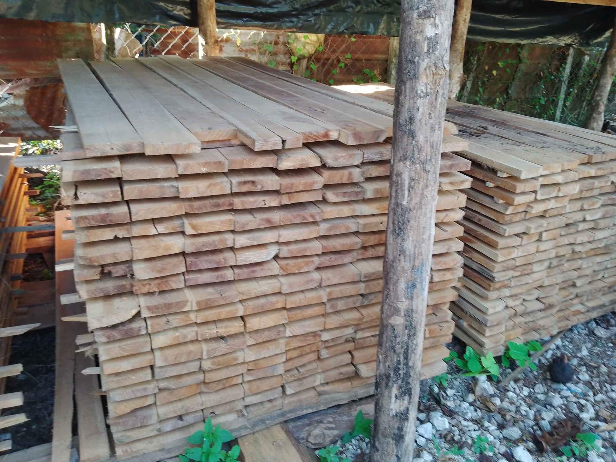 Madera de Teca