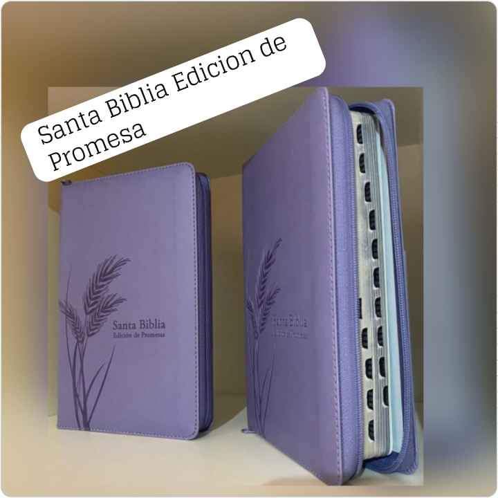 Biblia de Promesas Para Mujer 
Reina Valera 1960 "LETRA GRANDE"