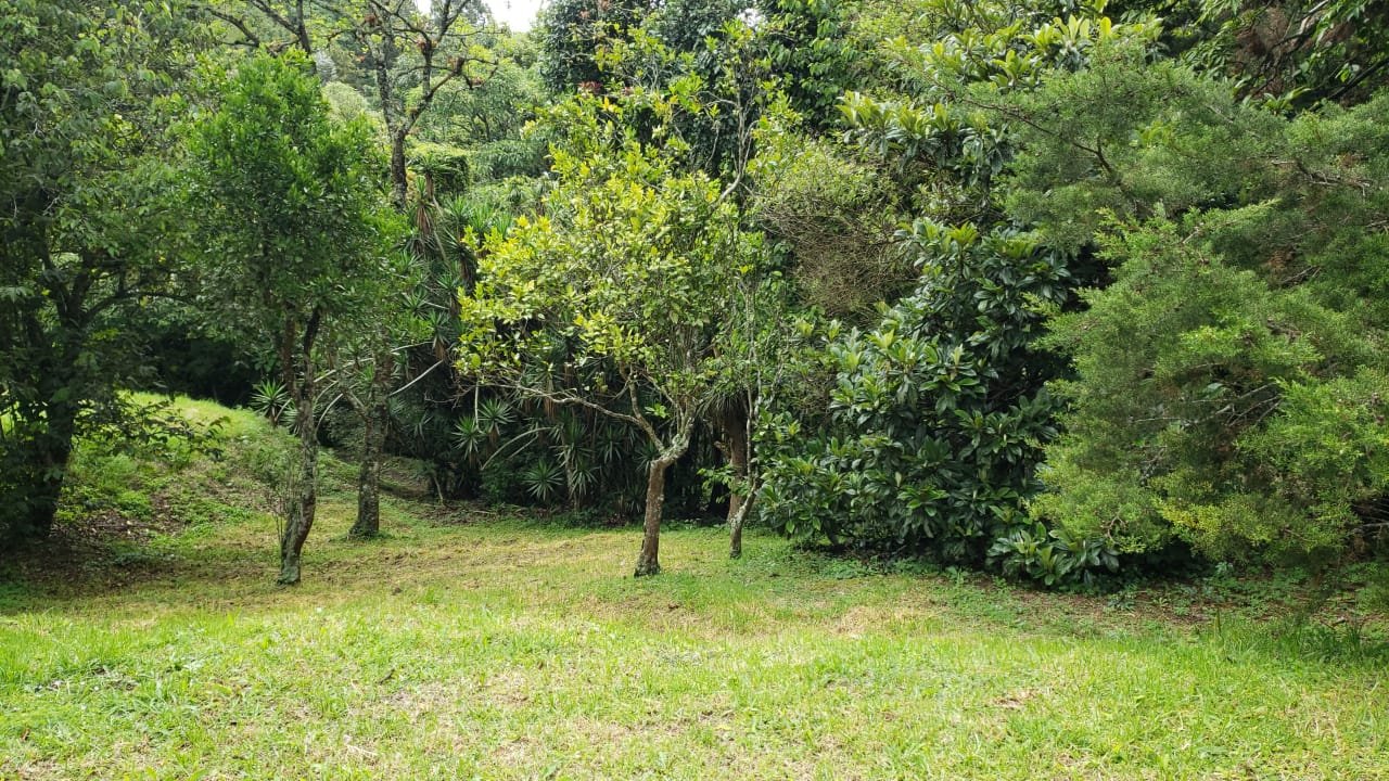 TERRENO EN CONDOMINIO LOS MANZANOS, CRUCE A OLMECA, CES.