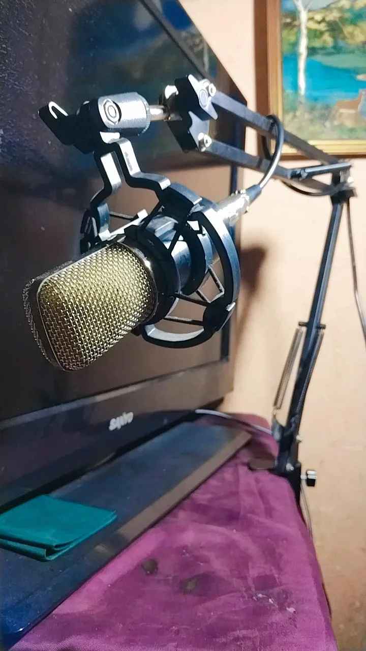 Conjunto profesional Brazo+micrófono.