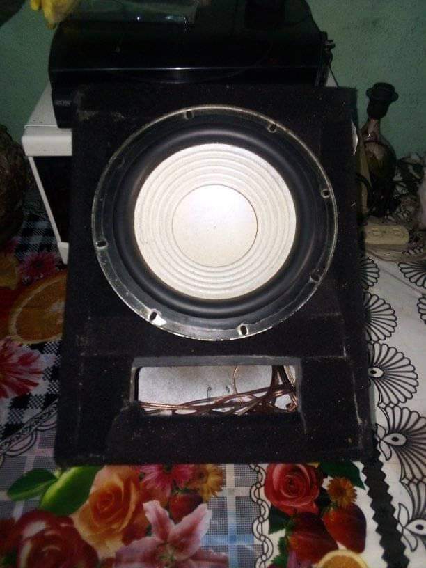 SUBWOOFER de 12 ownios