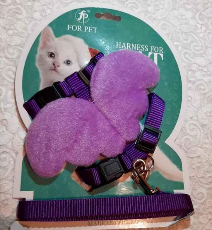 Arnés para gatos y conejos