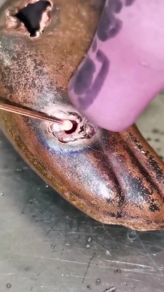 Amazing wow #reel #amazing #funny #omg 463
Increíble wow #reel #increíble #diver