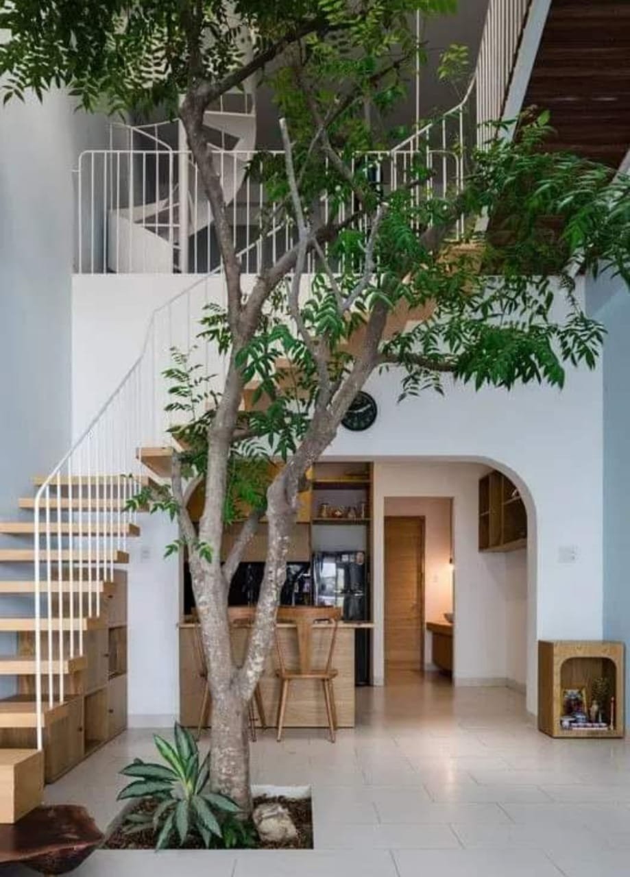 JARDINES INTERIORES, DISENOS ARTISTICOS, ZEN, CONTEMPORANEOS, MINIMALISTAS,  INF