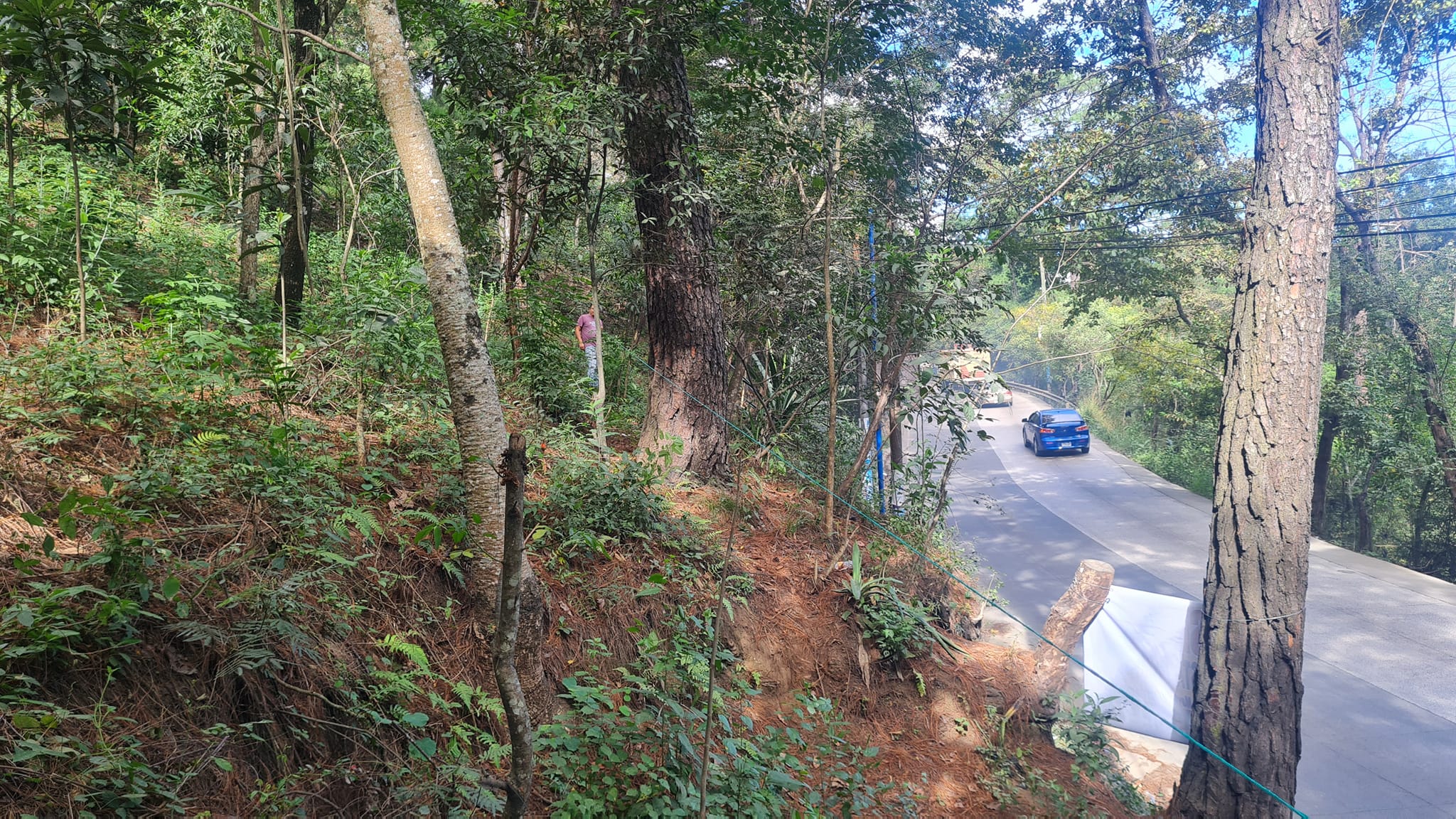 Vendo lotes en Hacienda de las flores    
K37 car.a San Raymundo 
San Juan sac.G