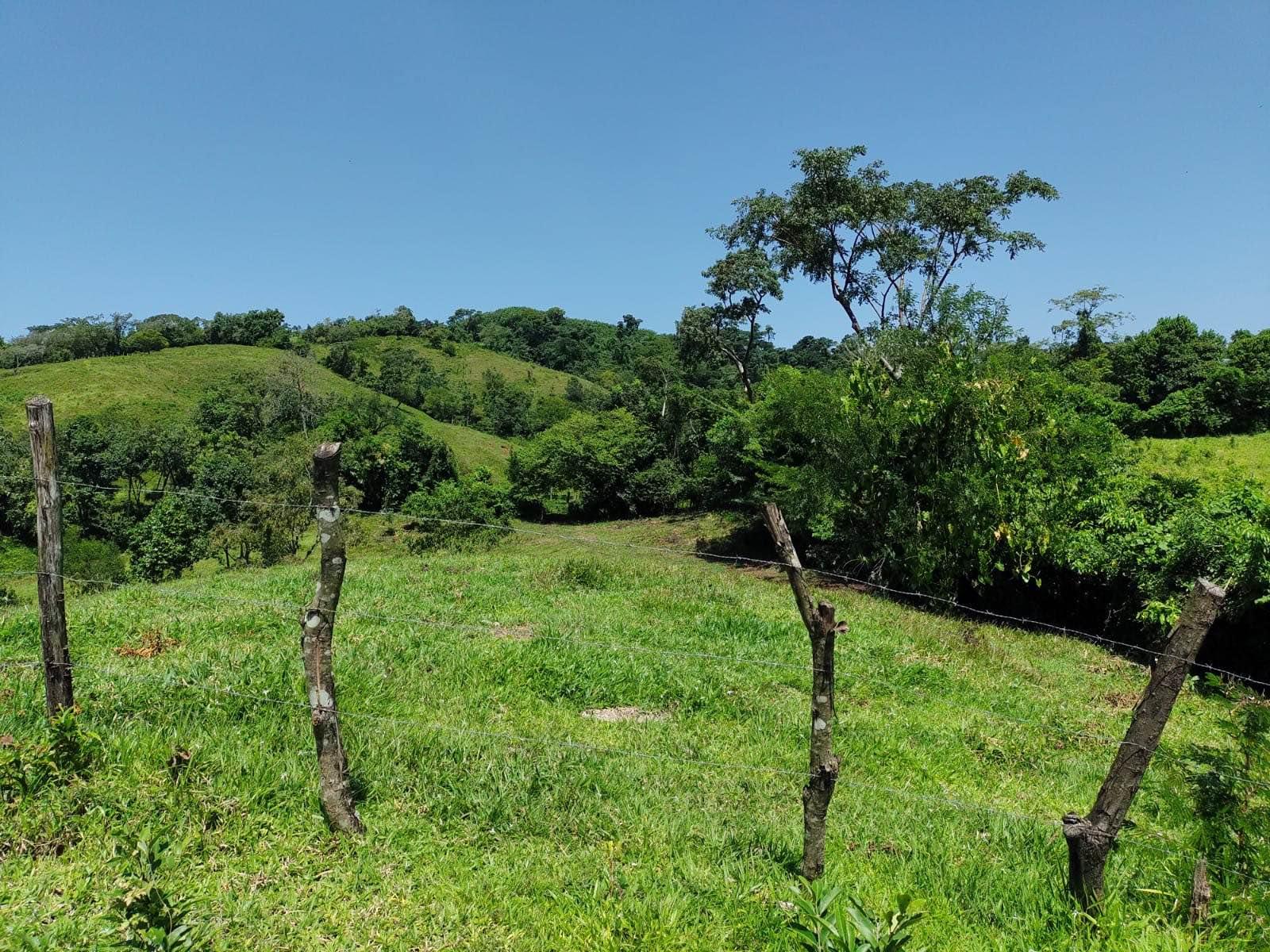 FINCA DE 3 CABALLERÍAS UBICADA EN EL AREA DE RIO BRAVO SUCHITEPEQUES, LA FINCA E
