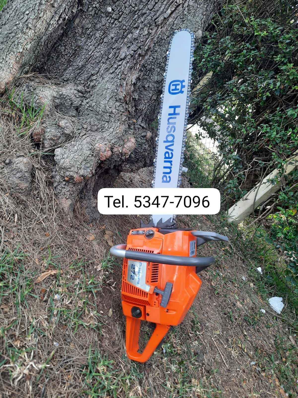 Agroindustria 
 Motosierra Husqvarna 61 
 Chapeadoras, 
 Motosierra,
  bombas pa