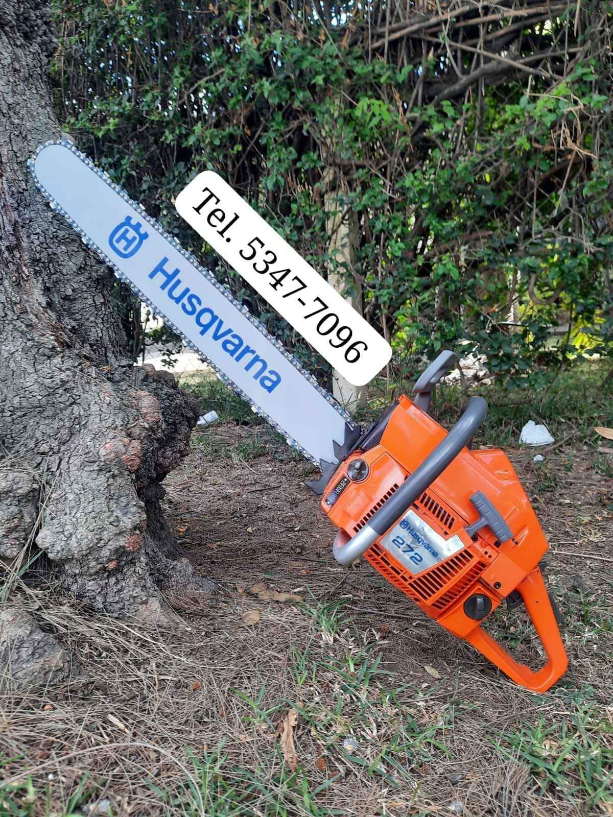 Agroindustria 
 Motosierra Husqvarna 272 
 Chapeadoras, 
 Motosierra,
  bombas p