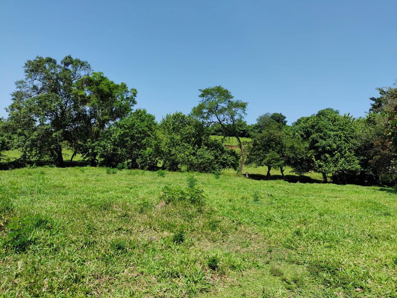 FINCA DE 3 CABALLERÍAS UBICADA EN EL AREA DE RIO BRAVO SUCHITEPEQUES, LA FINCA E