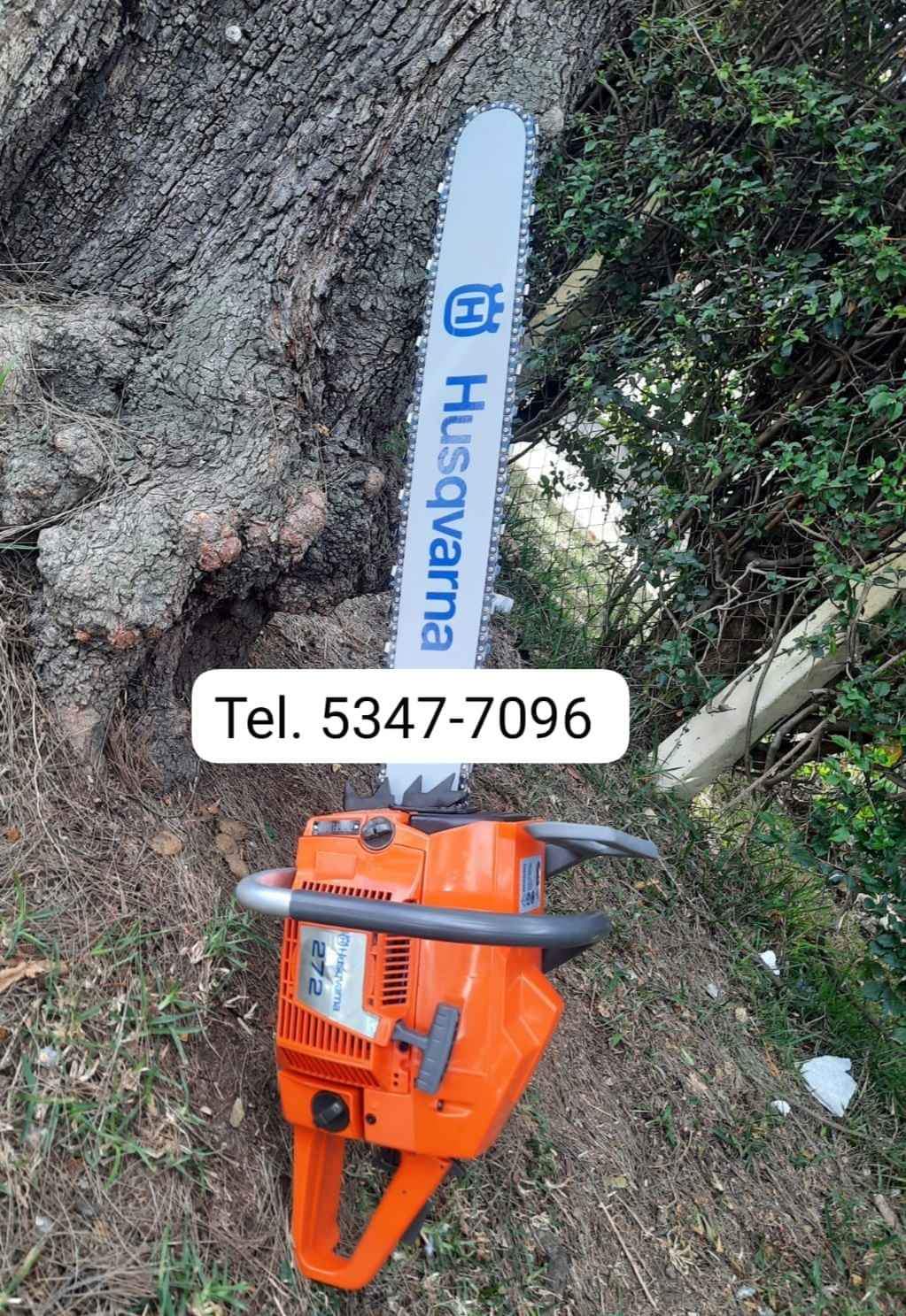 Agroindustria 
 Motosierra Husqvarna 272 
 Chapeadoras, 
 Motosierra,
  bombas p