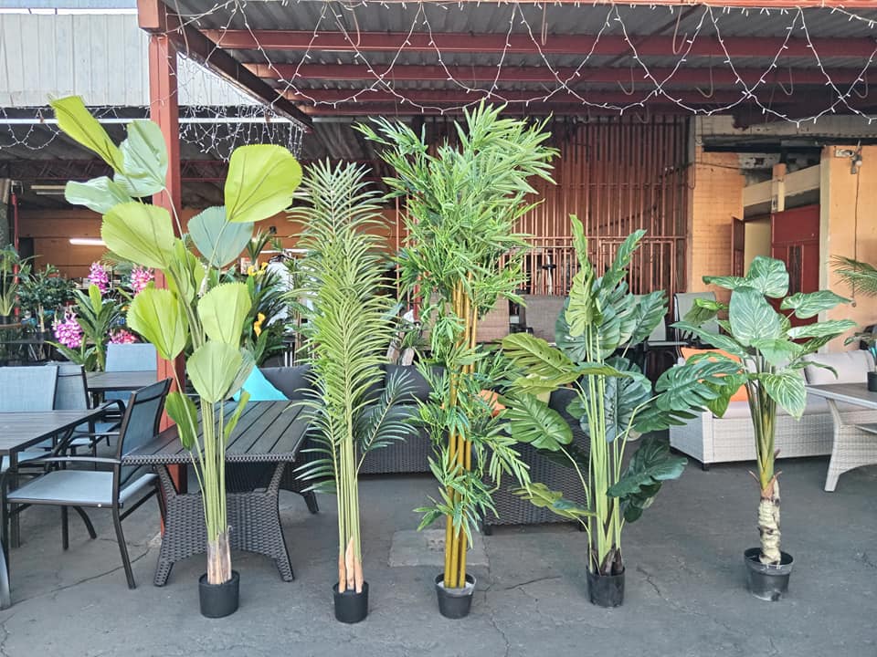 INTERESADOS COMUNICARSE AL WHATSAPP 43038793 VISÍTANOS CALZADA SAN JUAN 35-79 ZO