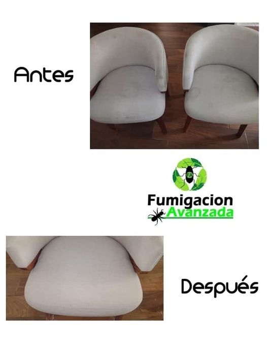 ¡Revive la belleza de tu espacio con nuestra impecable limpieza de tapicería! Co