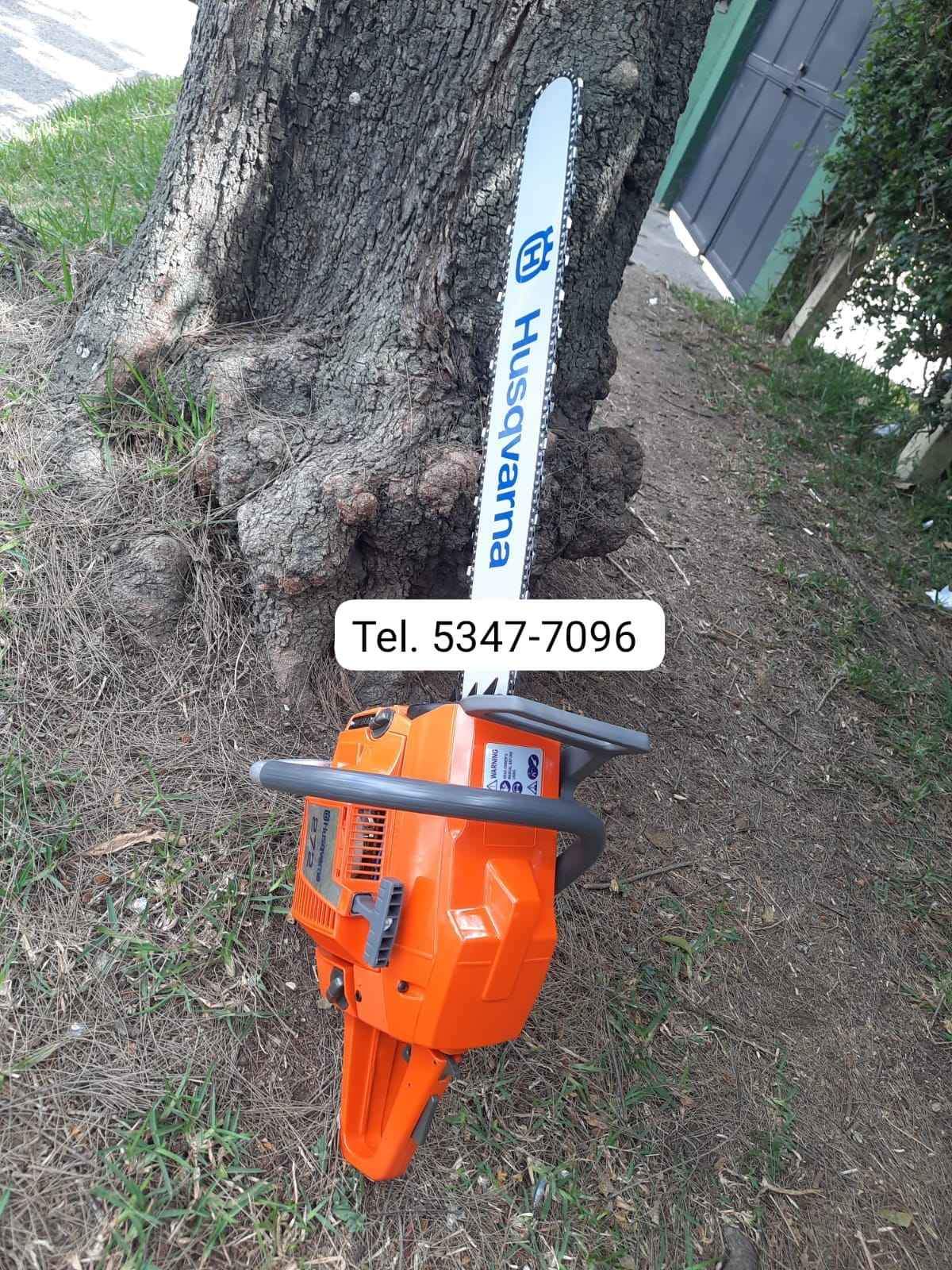 Agroindustria 
 Motosierra Husqvarna 272 
 Chapeadoras, 
 Motosierra,
  bombas p