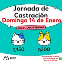 NO LLAMADAS.... POR FAVOR, ESCRIBAMOS POR MENSAJE DE WHATSAPP, AL 5201 6464

So