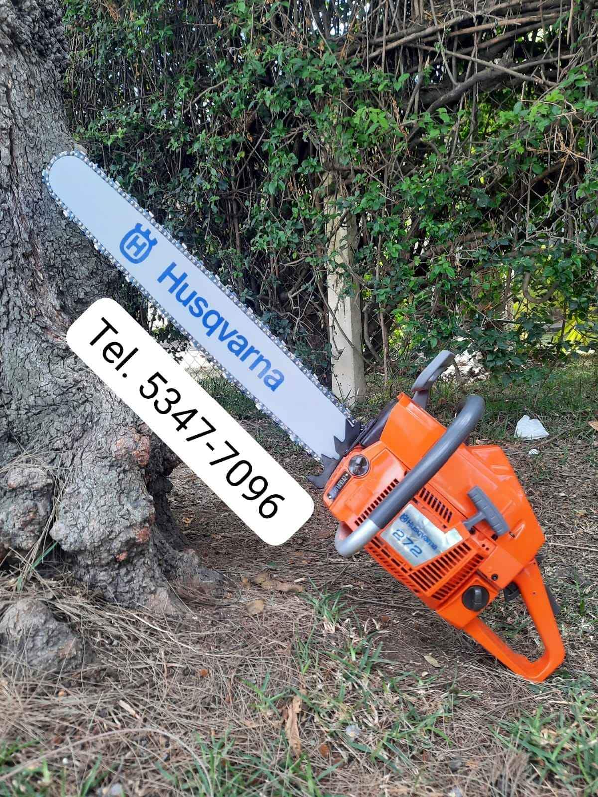 Agroindustria 
 Motosierra Husqvarna 272 
 Chapeadoras, 
 Motosierra,
  bombas p