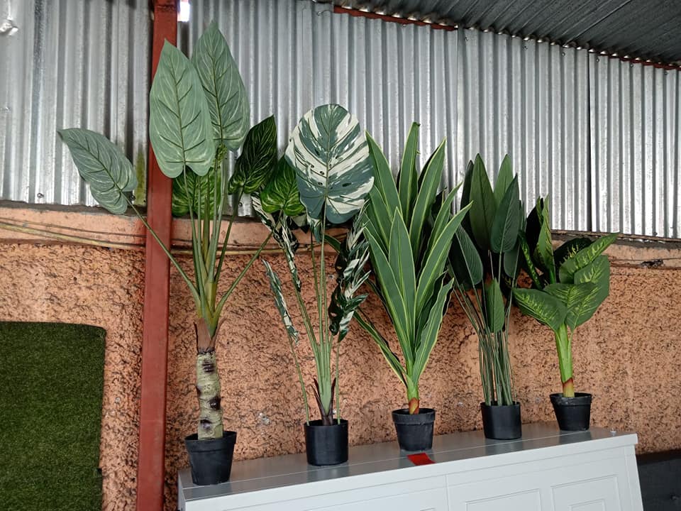 Puede hacer su pedido al WhatsApp 33721331 dentro y fuera de la ciudad capital p