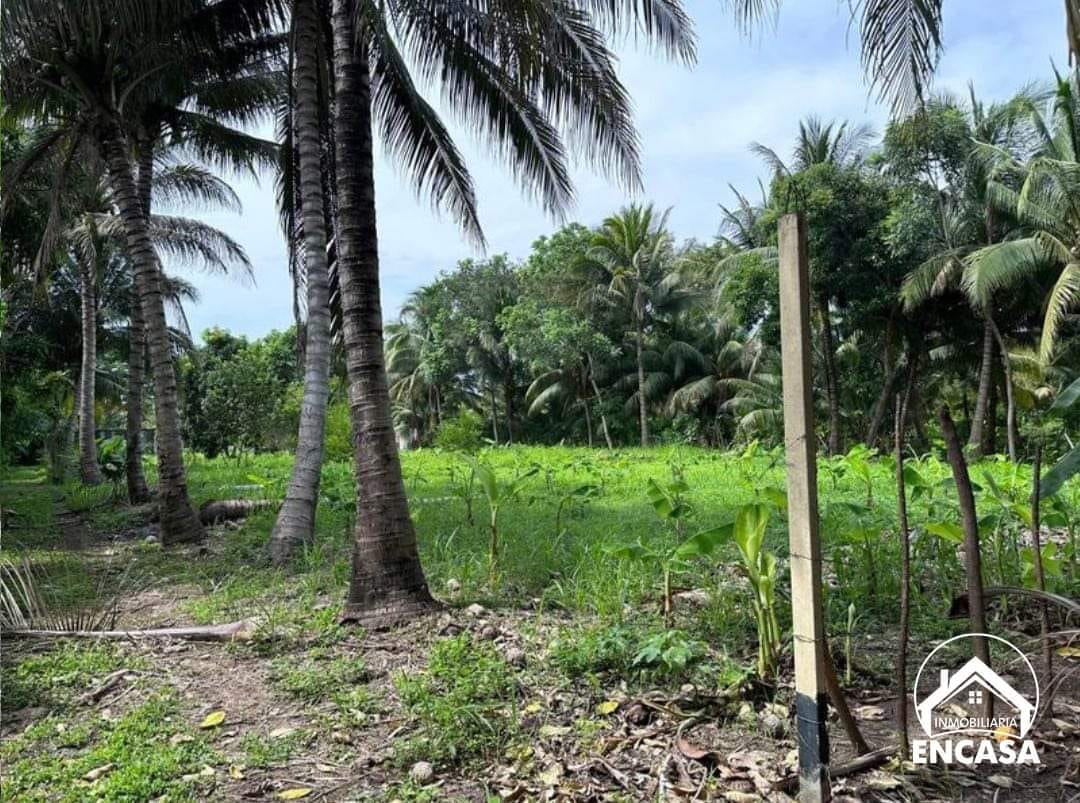 Venta de Terreno en Puerto San José km 102, Escuintla carretera vieja 

 Medida