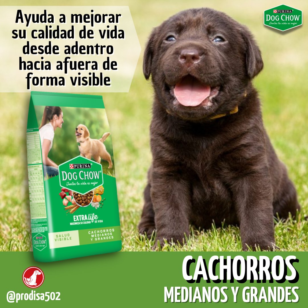 Purina Dog Chow  - Cachorros medianos y grandes
Nutrición específicamente diseña