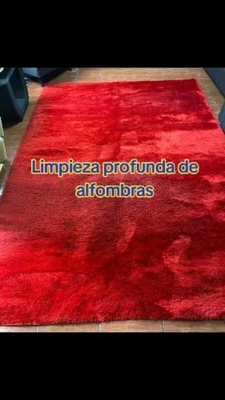 Limpieza profunda de alfombras

INCLUYE
-extraccion de manchas
-eliminación de o
