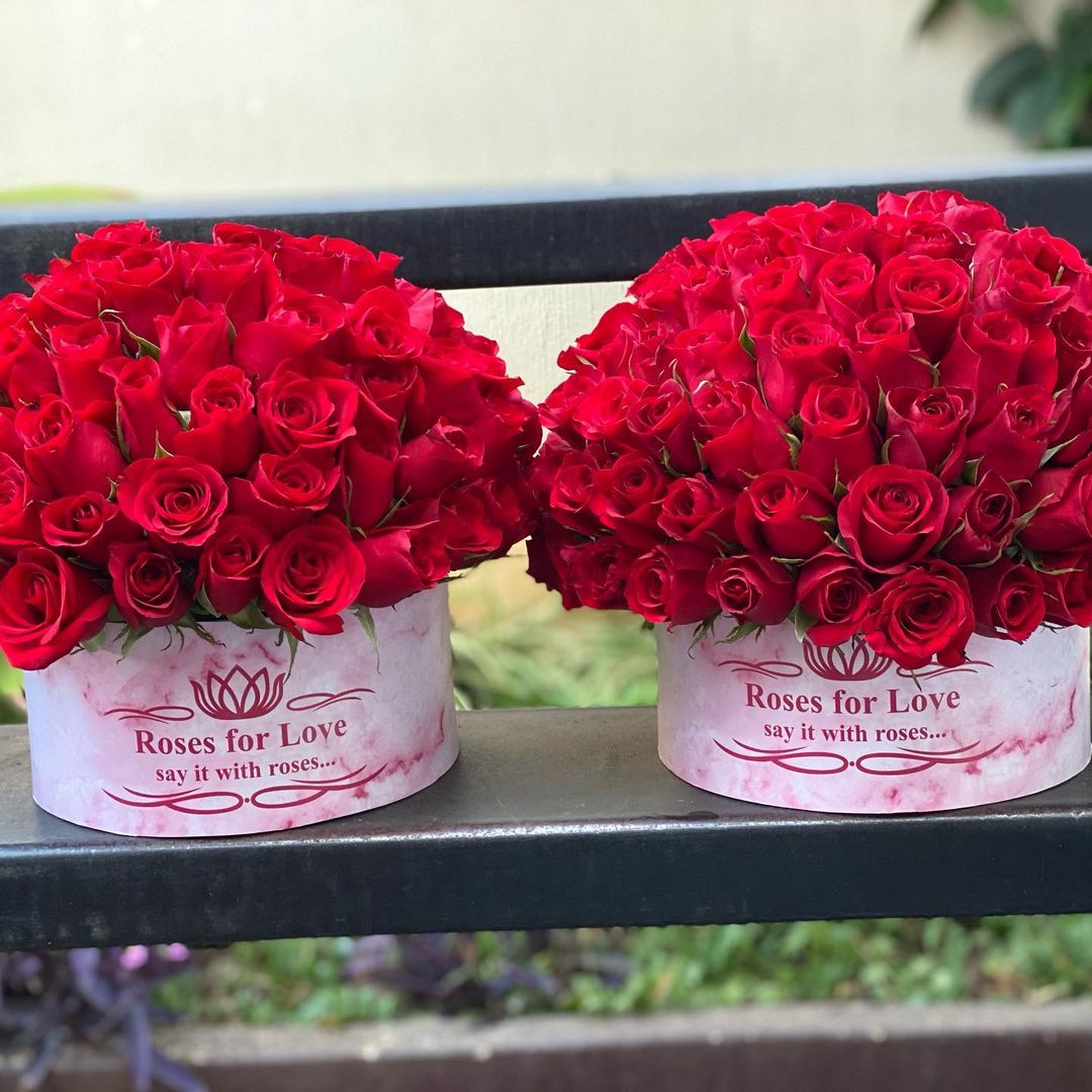 Aún estamos recibiendo pedidosValentine's Day 2021Nuevo año, nuevos estilos!
Res