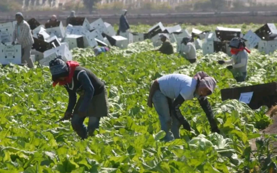 Envía un mensaje a trabajostemporales558 por WhatsApp.
