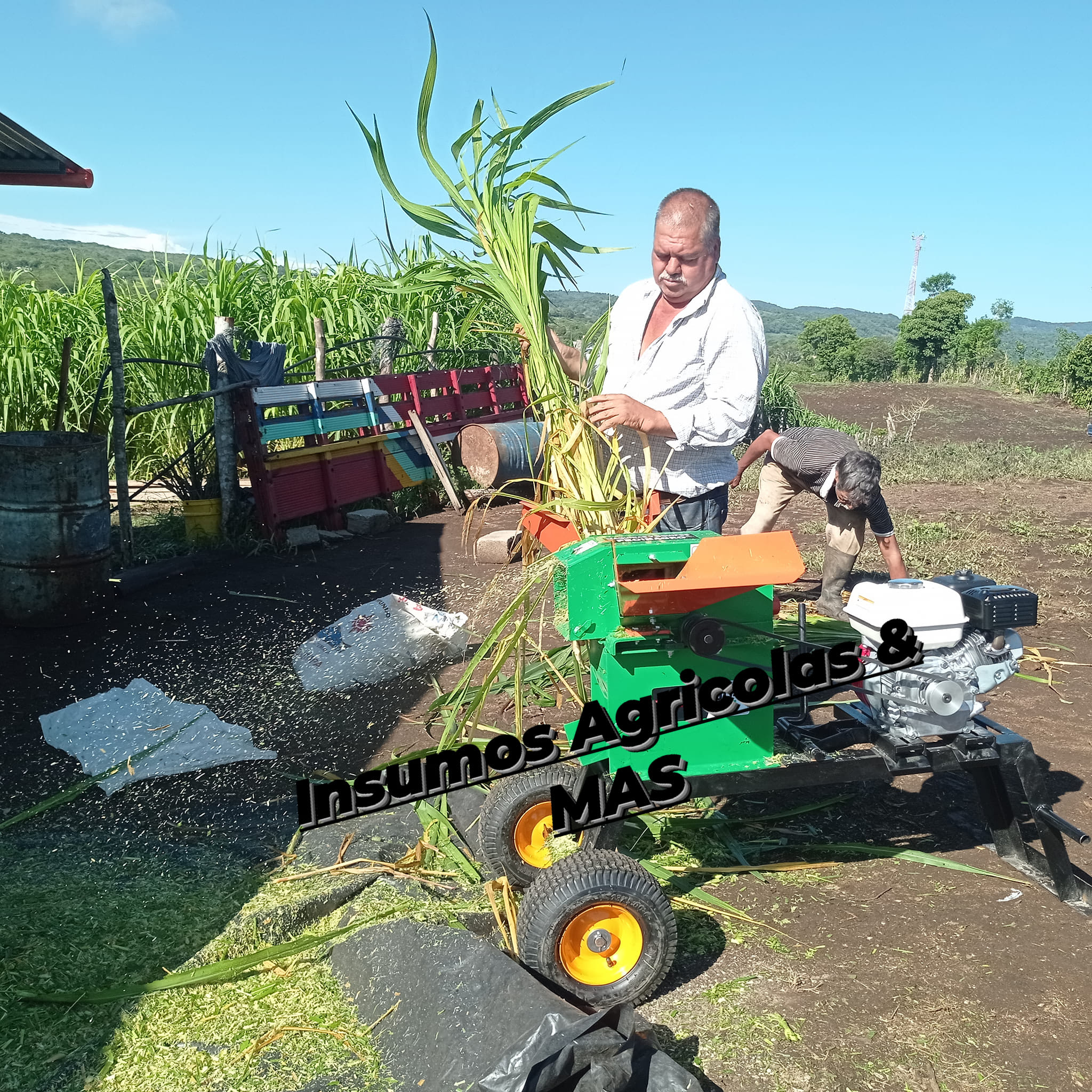 Feliz día 

Tengo disponible 
Picadoras de sácate
Son nuevas y de alta calidad