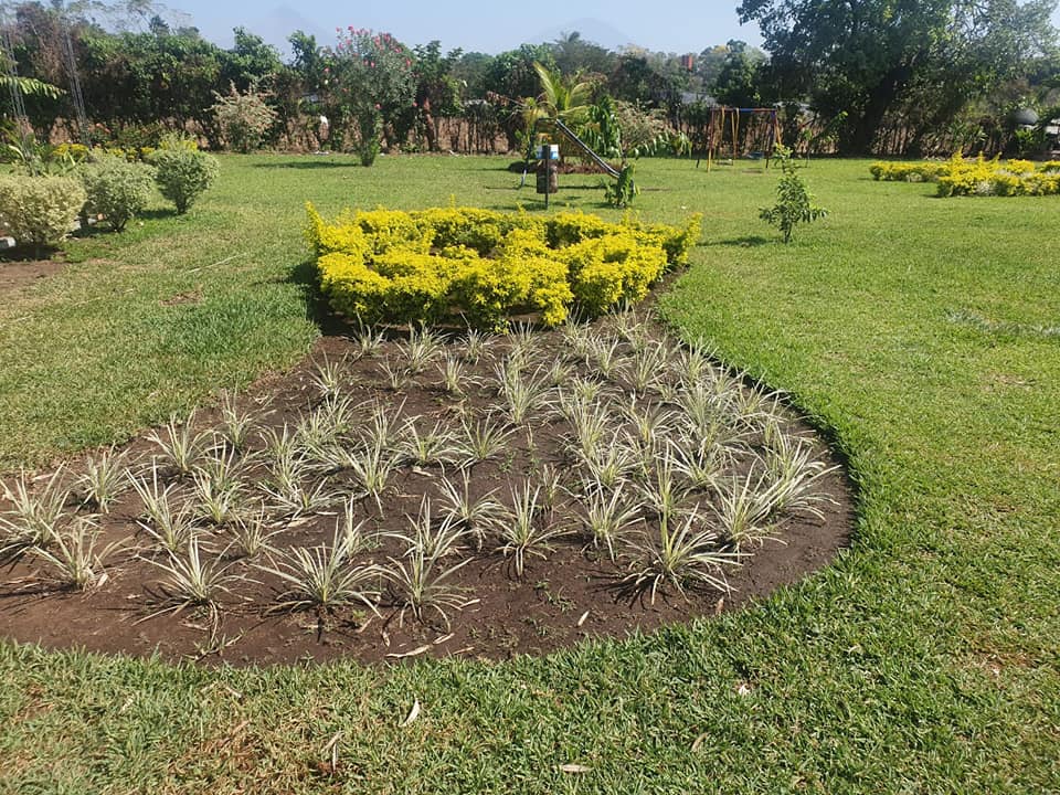 LOTIFICACIÓN PASADENA en Caton Tableros Retalhuleu Totalmente urbanizado con bel