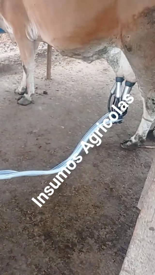 Feliz día para todos

Con el permiso del administrador

Les comparto que tengo d