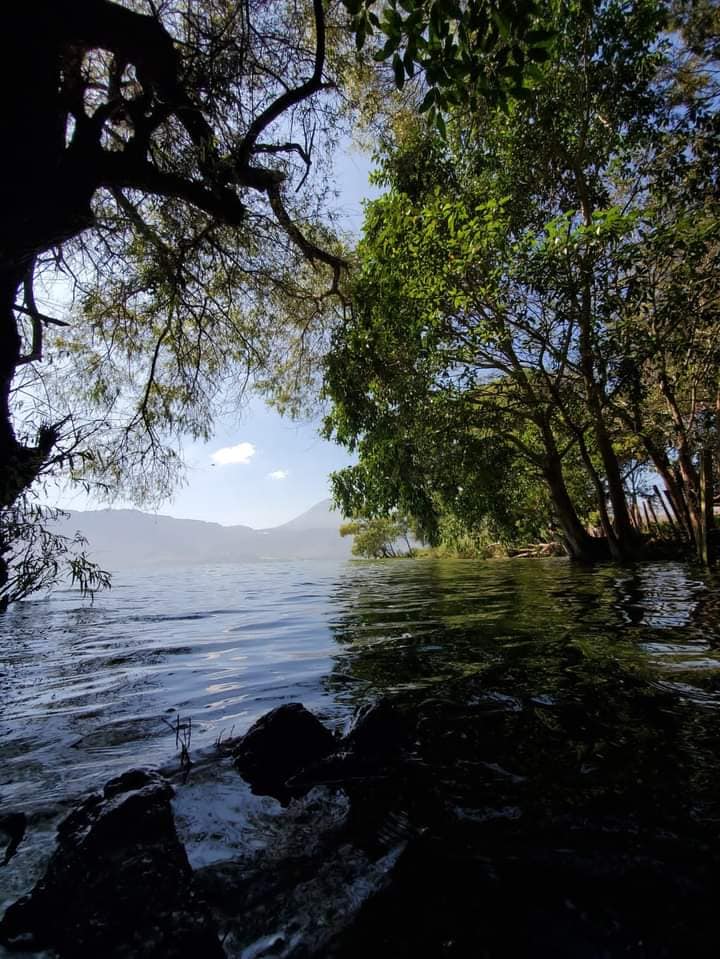 ¡Descubre el lugar perfecto para construir la casa de tus sueños!

Presentamos n