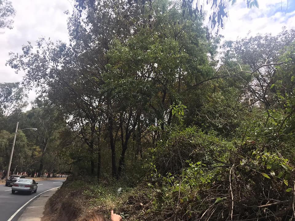 --> EN VENTA <--
 Terreno en San Cristóbal, zona 8 de Mixco.
 SOBRE EL BOU