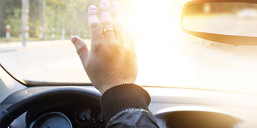 **Trabajamos con las mejores marcas** para garantizar mayor protección y privac