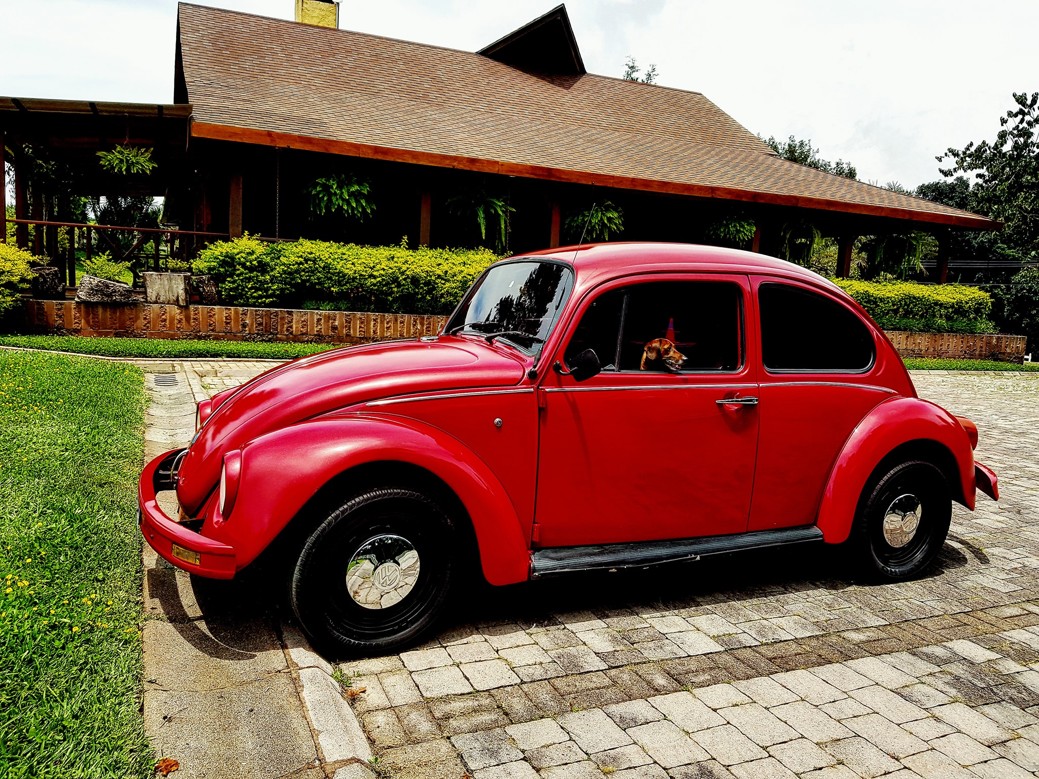 Kafěr escarabajo Volkswagen