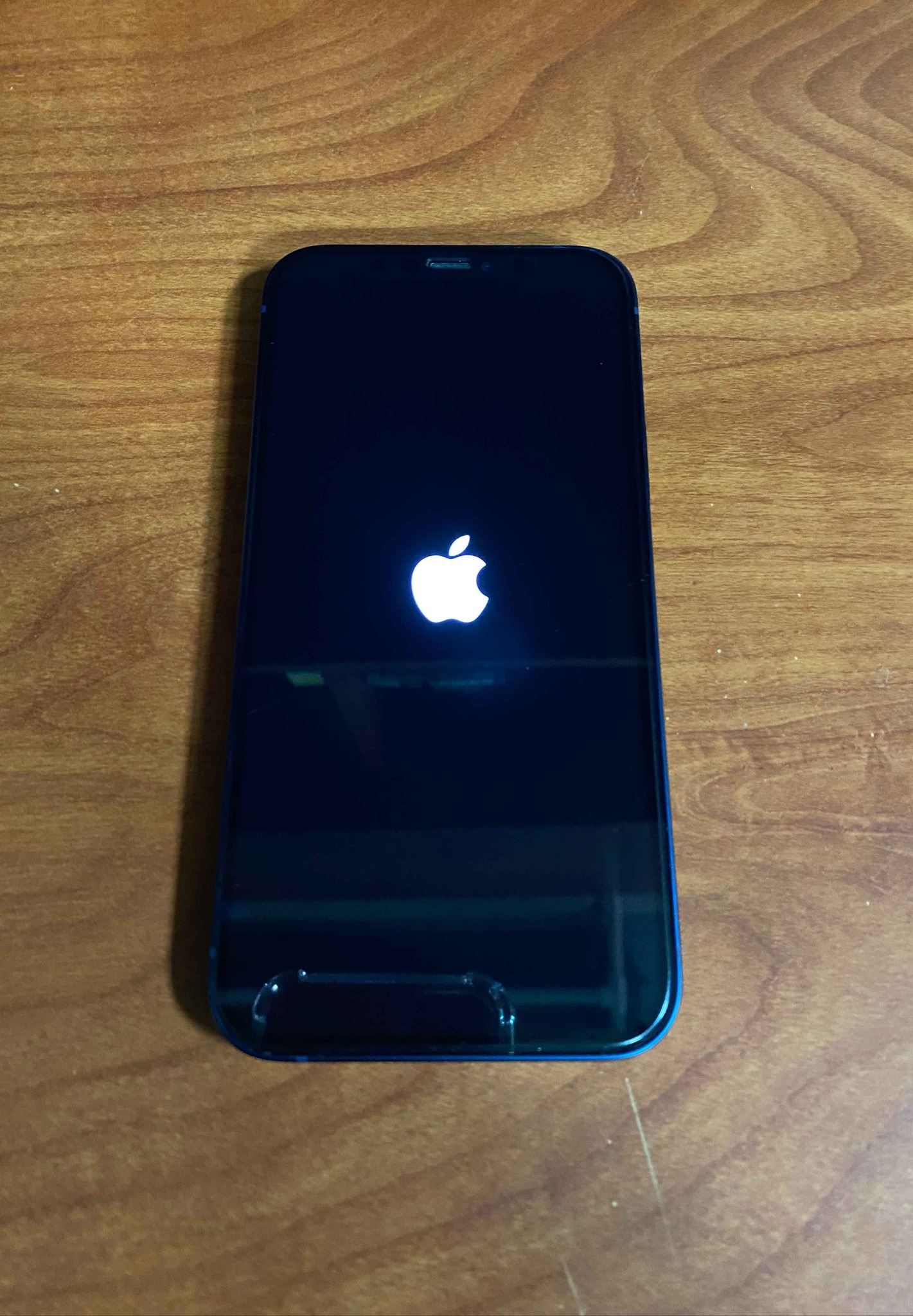 iPhone 12 Azul (LEER TODO EL ANUNCIO)