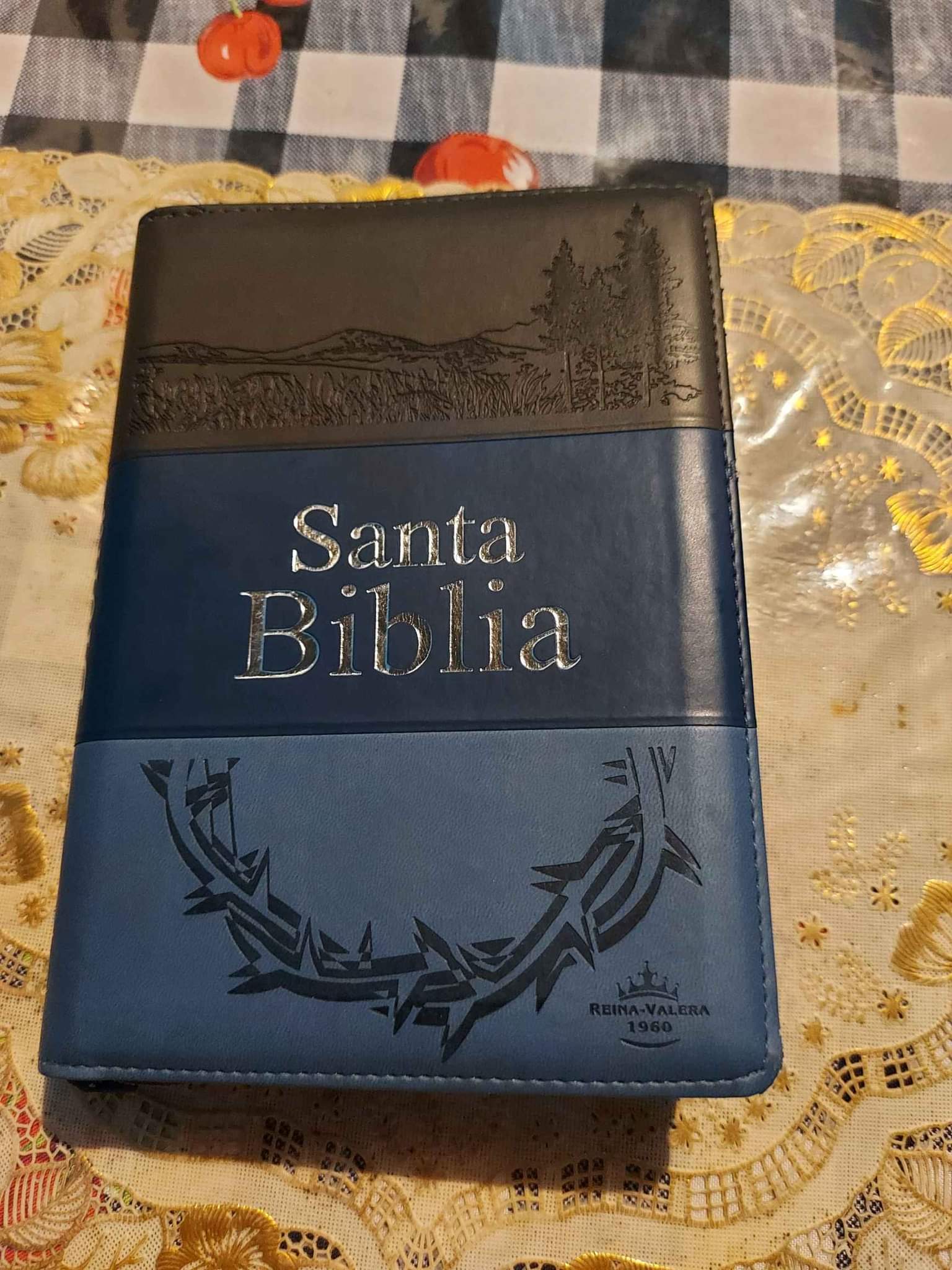 Biblia Reina Valera 1960 Letra Grande de 12pts Con Cierre